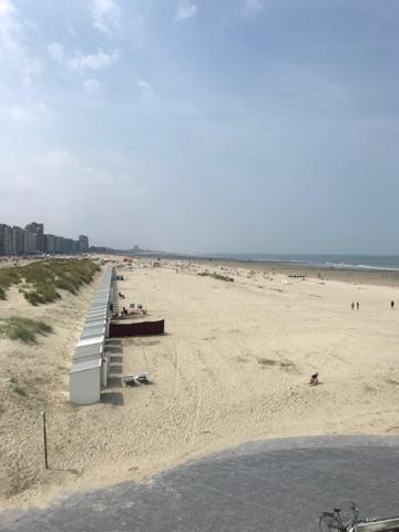 Apartament Apollo 1 Nieuwpoort Zewnętrze zdjęcie