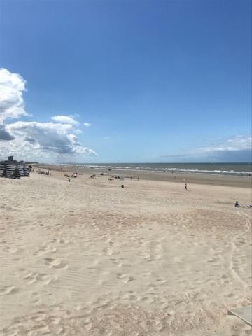Apartament Apollo 1 Nieuwpoort Zewnętrze zdjęcie